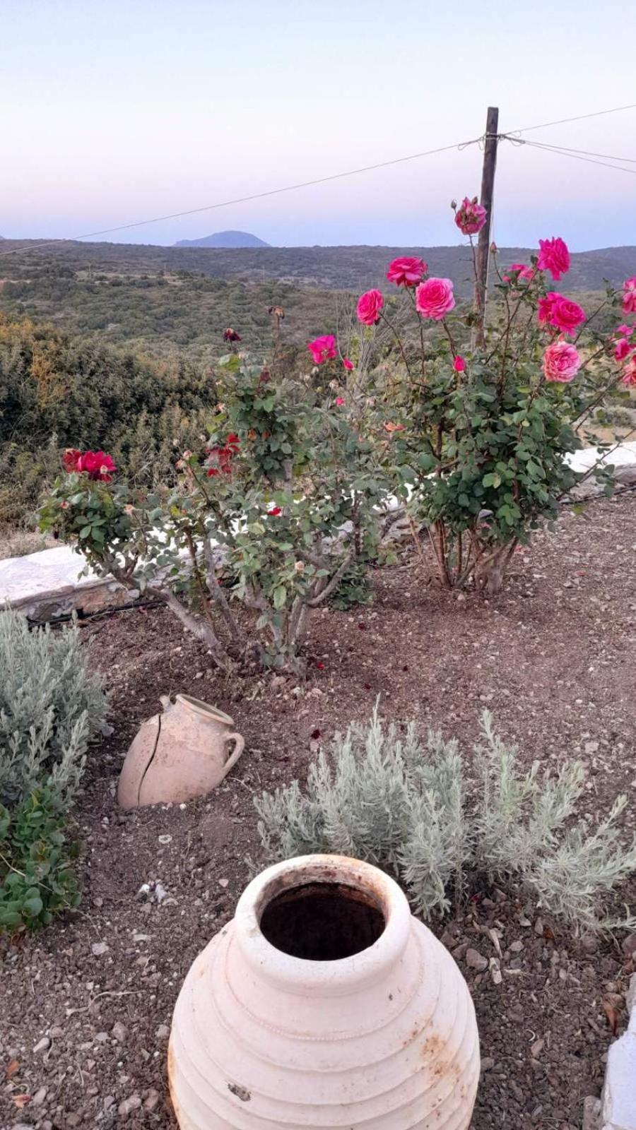 Tsipouras House Villa Kýthira Dış mekan fotoğraf
